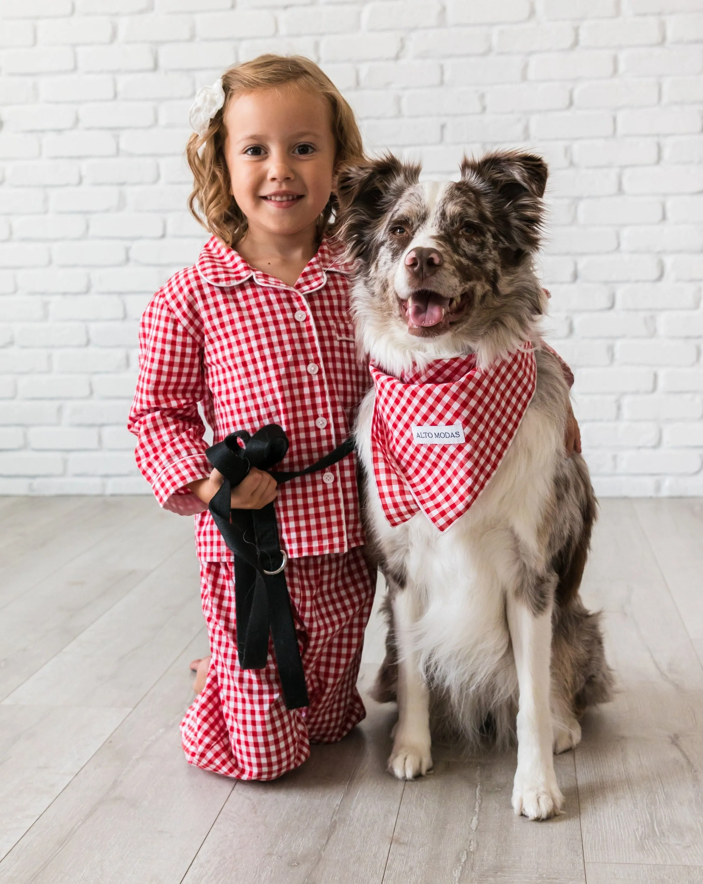 Buddy Red Gingham Dog Bandana