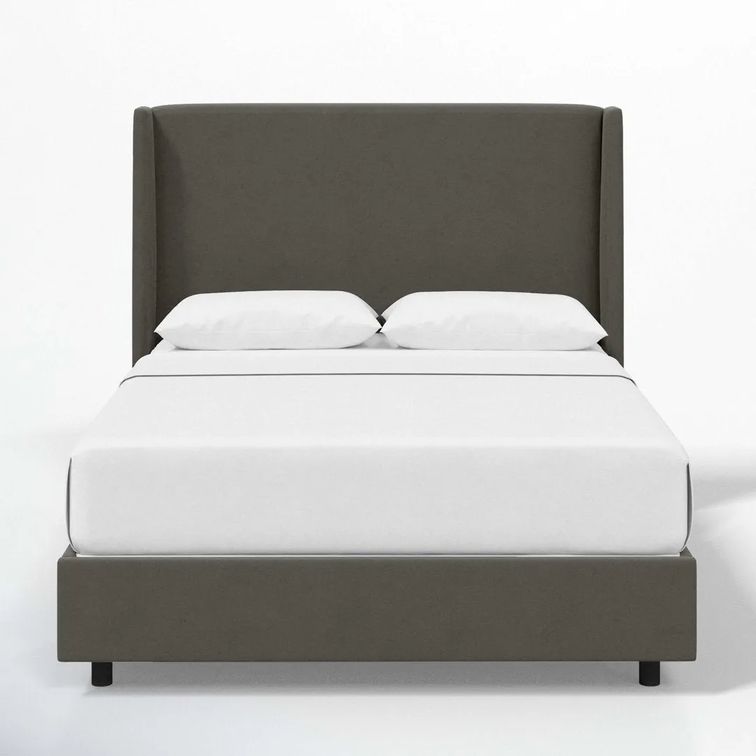 Dinapoli Upholstered Low Profile Standard Bed Mistana™ Color: Classic Pewter Performance Velvet Size: Queen