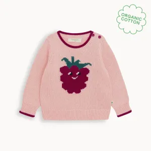 Ellis - Dusty Pink Blackberry Knit Sweater