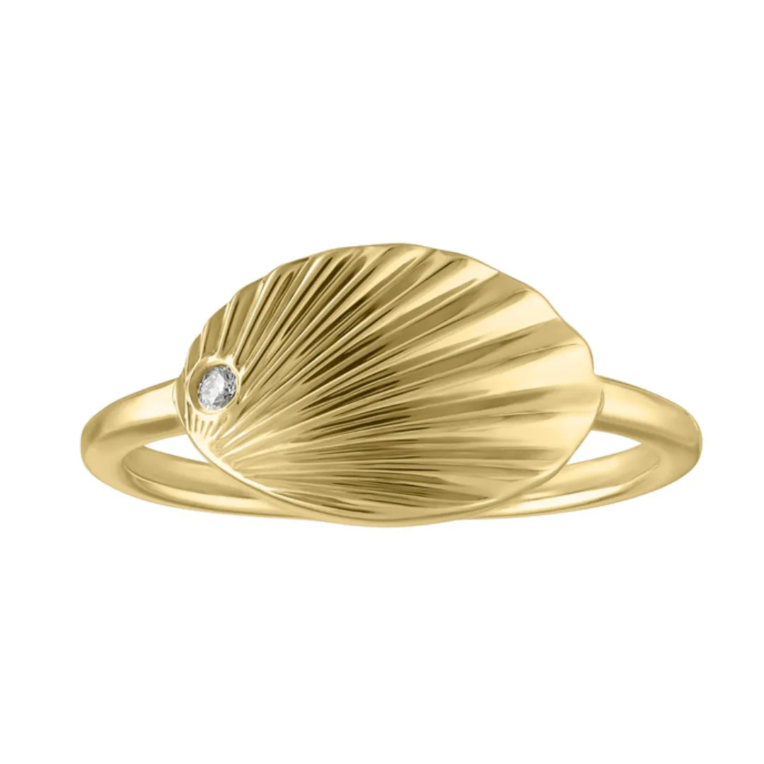 Kaitlin Ring