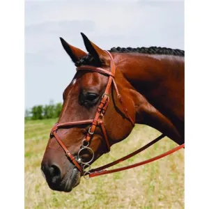 Vespucci Single Crown Fancy Raised Figure 8 Bridle