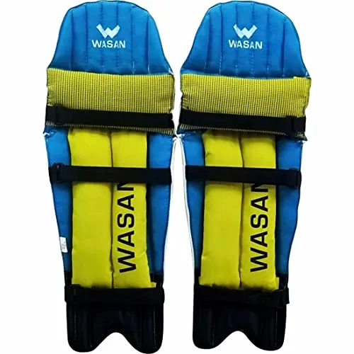 WASAN PVC Cricket Batting Legguard Pads for Youth (10-16 Years, white)